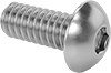 Rounded Head Screws