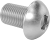 Rounded Head Screws
