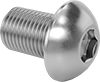 Rounded Head Screws