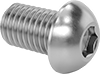 Rounded Head Screws