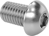 Rounded Head Screws