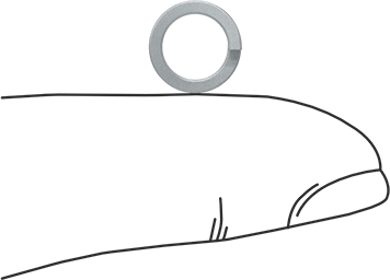 Image of Product. Side1 orientation. Contains SizingReference. Zinc-Plated Steel Split Lock Washer, for 1/4" Size Socket Head Screw, 0.260" ID, 0.363" OD.