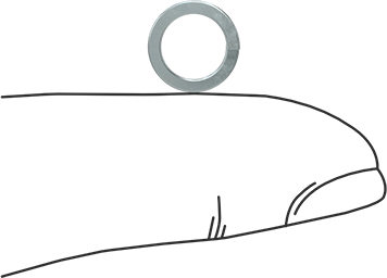 Image of Product. Side1 orientation. Contains SizingReference. Zinc-Plated Steel Split Lock Washer, for 1/4" Size Socket Head Screw, 0.260" ID, 0.363" OD.