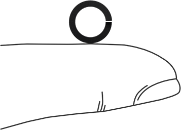 Image of Product. Side1 orientation. Contains SizingReference. Black-Oxide Steel Split Lock Washer, for 1/4" Size Socket Head Screw, 0.260" ID, 0.363" OD.
