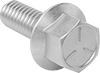 Hex Head Screws