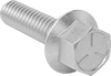 Steel Flanged Hex Head Screws