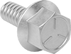 Hex Head Screws