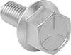 Hex Head Screws