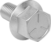 Hex Head Screws