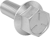 Hex Head Screws