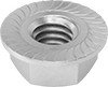 Flange Nuts