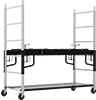Scaffolds