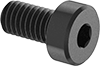 Low-Profile Steel Socket Head Screws