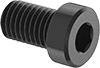 Low-Profile Steel Socket Head Screws