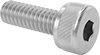 Venting Socket Head Screws
