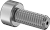 testString