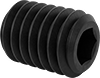 Set Screws