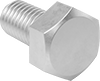 Brass Hex Head Screws