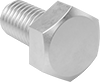 Brass Hex Head Screws
