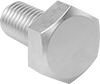 Brass Hex Head Screws