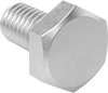 Brass Hex Head Screws