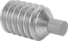Set Screws