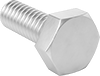 Hex Head Screws