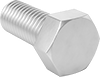 Aluminum Hex Head Screws