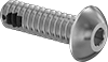 Rounded Head Screws