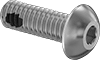 Rounded Head Screws