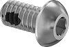 Rounded Head Screws