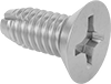 Stainless Steel Hinge Screws