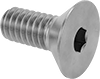 Flat Head Screws