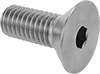 Flat Head Screws