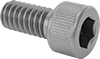 Brass Socket Head Screws