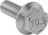 Steel Flanged Hex Head Screws