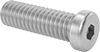 Low-Profile Stainless Steel Socket Head Screws
