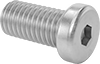 Low-Profile Stainless Steel Socket Head Screws
