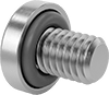 Rounded Head Screws