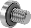 Rounded Head Screws