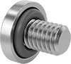 Rounded Head Screws