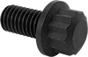 12-Point Screws