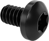 Steel Pan Head Torx Plus Screws