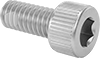 Stainless Steel Thread-Locking Socket Head Screws