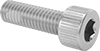 Stainless Steel Thread-Locking Socket Head Screws