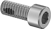 Stainless Steel Thread-Locking Socket Head Screws