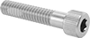 Stainless Steel Thread-Locking Socket Head Screws