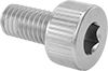 Socket Head Screws