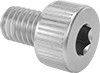 Socket Head Screws