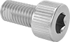 Stainless Steel Thread-Locking Socket Head Screws